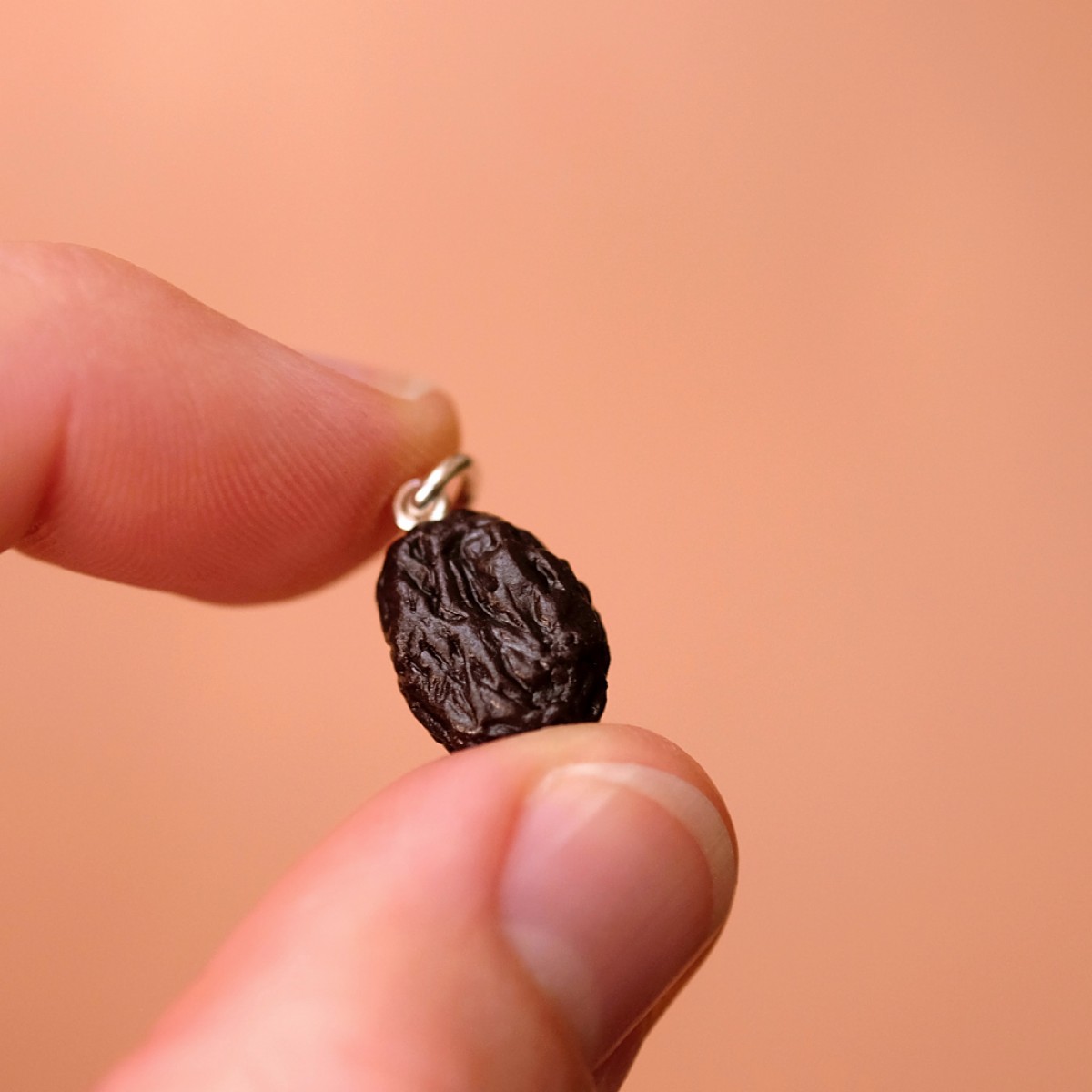 minischmidt miniSNACK Rosine