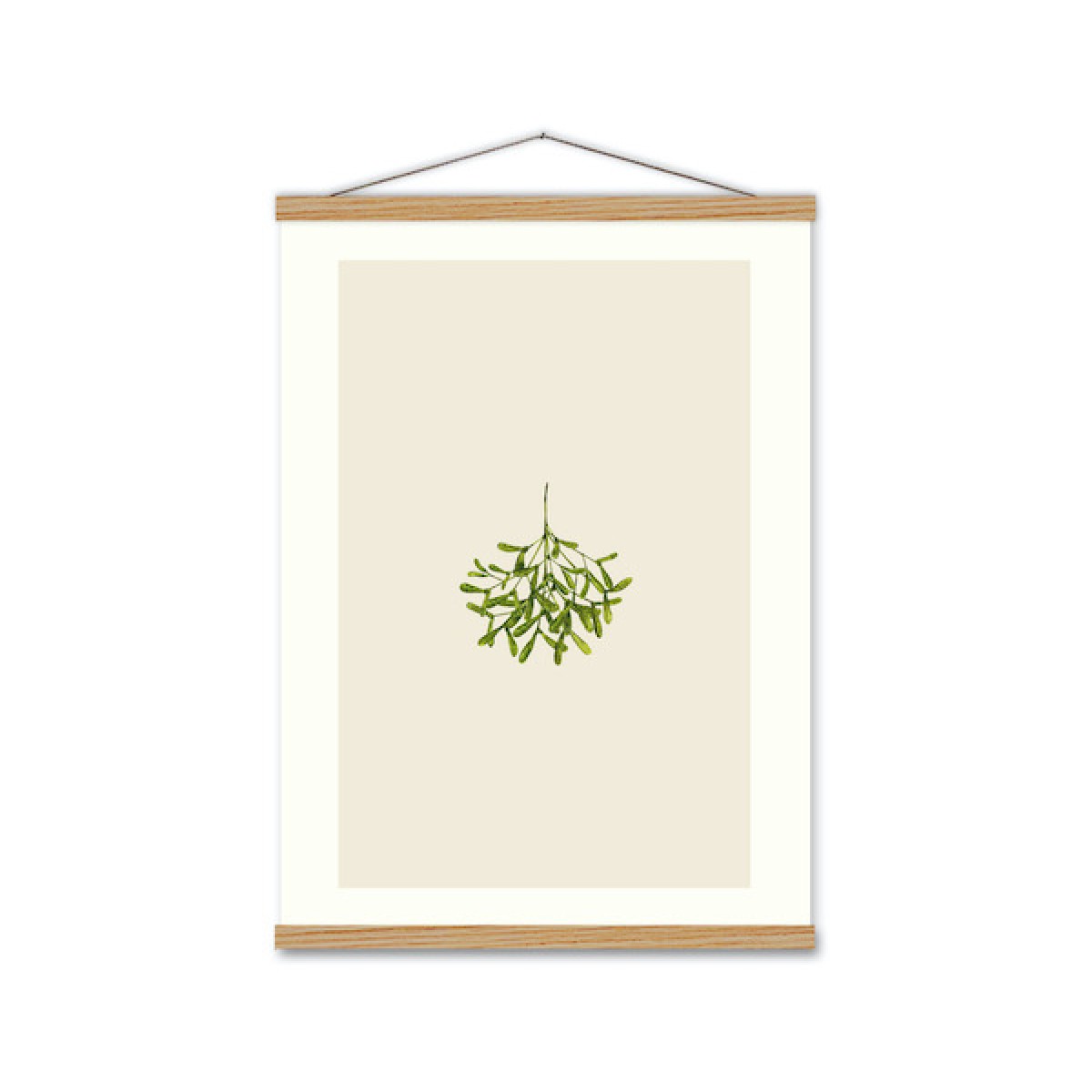 Kunstdruck Mistelzweig - SANS. Kunstdruck Mistelzweig - SANS.