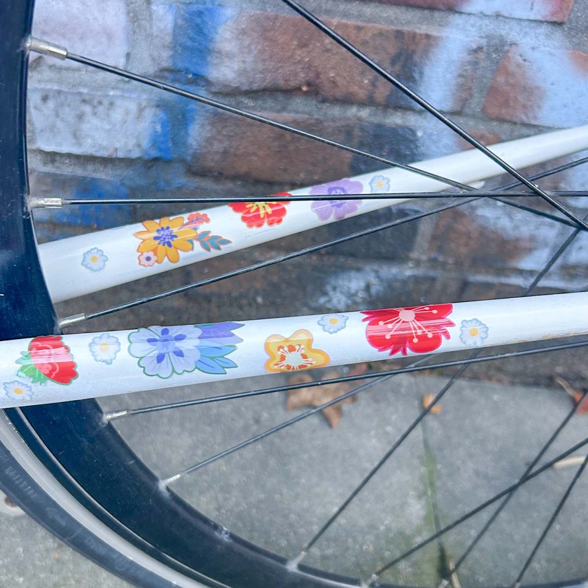 HUGS & STICKERS: Postkarte mit reflektierenden Fahrrad-Aufkleber Trockenblumen | MOOXIBIKE