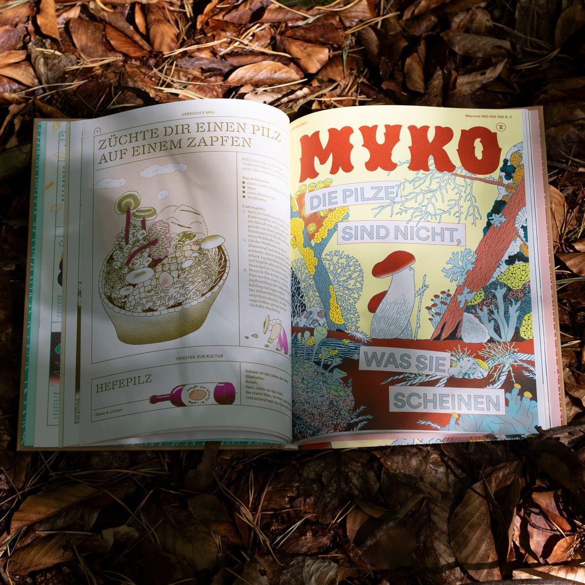 Myko – illustriertes Pilzmagazin in Buchform, 10 Ausgaben in 14 Sonderfarben