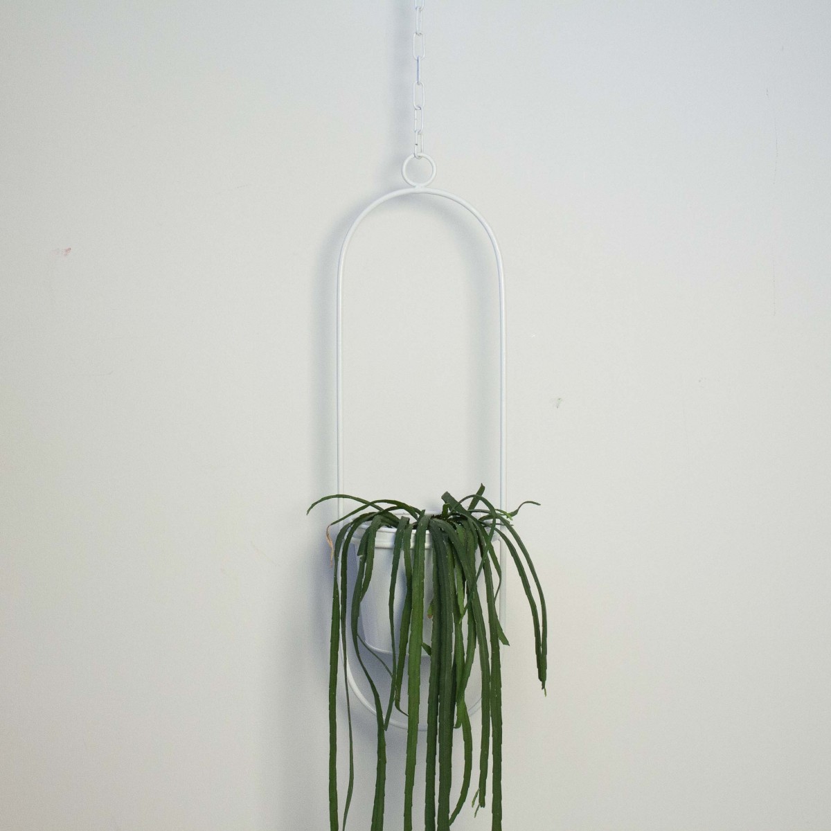 adorist - Hängetopf, Dekoring mit Blumentopf "Hanging Garden" Oval, weiß