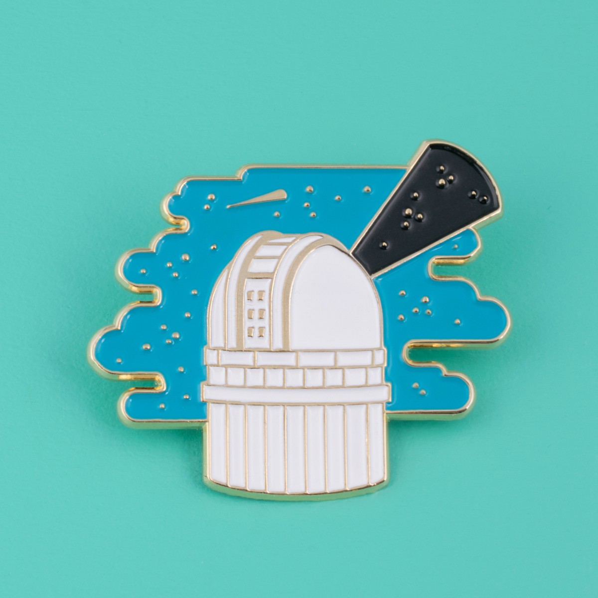 polypodium / Emaille Pin - let´s explore the universe