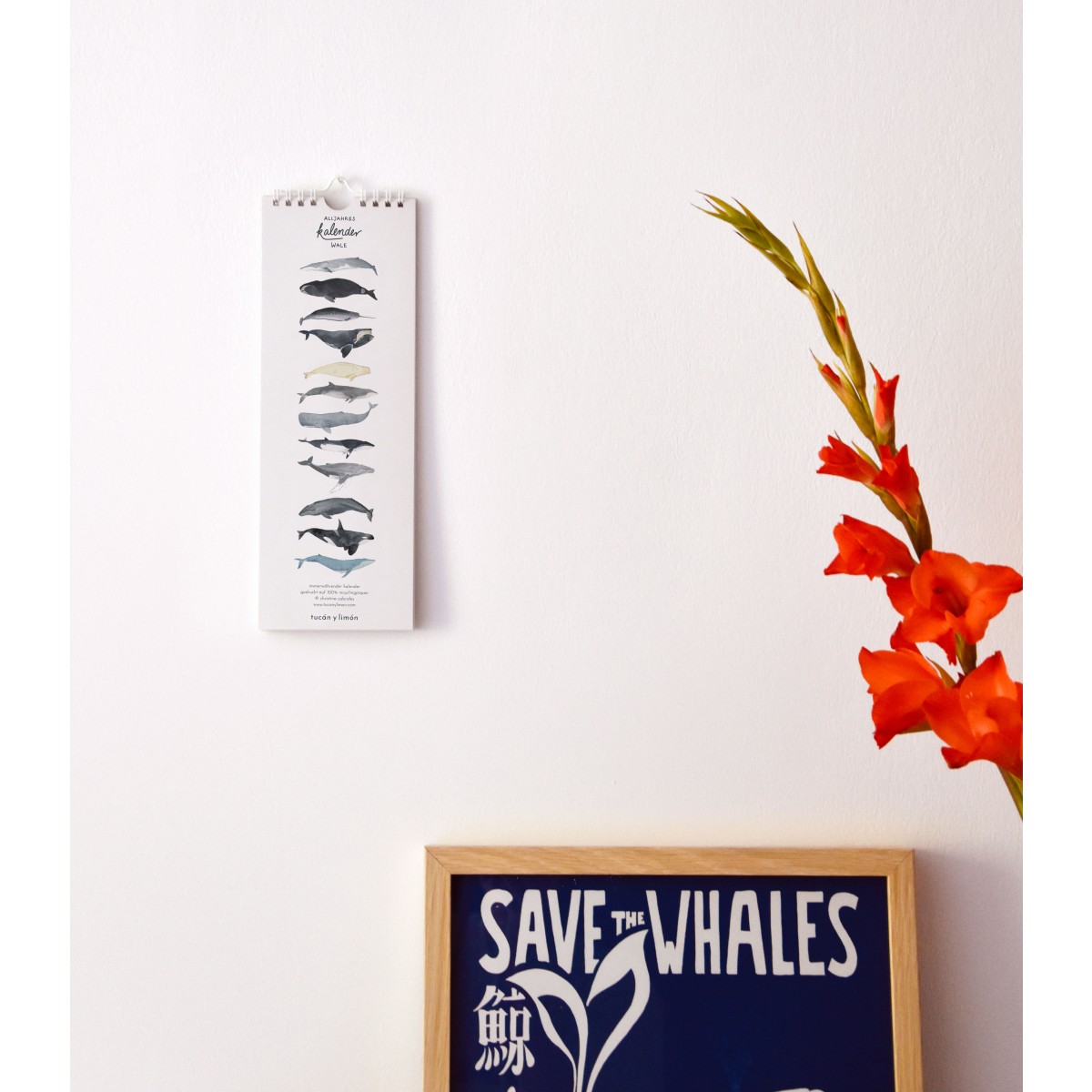 tucán y limón – Geburtstagskalender Wale / Aquarell / 100% Recyclingpapier / A4 halb