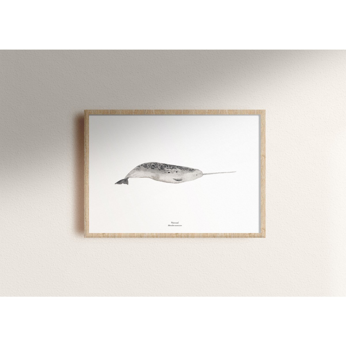 tucán y limón – Wal Print Aquarell A4 / Orca / Pottwal / Narwal / Buckelwal