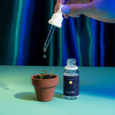 Astroplants - Geschenkebox