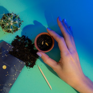 Astroplants - Geschenkebox