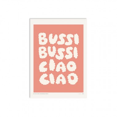 redfries bussi ciao salmon – Kunstdruck DIN B2