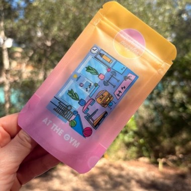 SUNSHINE PUZZLES Mini Puzzle "AT THE GYM"