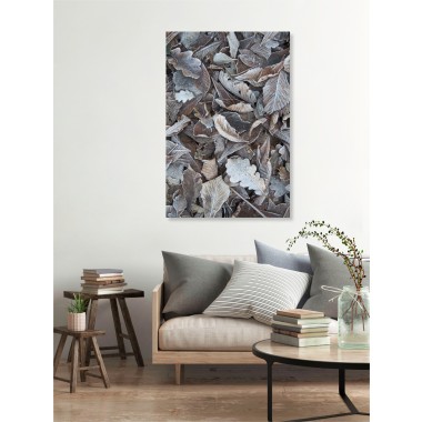 nahili ARTPRINT/POSTER "winter is Close" (DIN A1/A3 & 50x70cm) Wald Blätter Winter