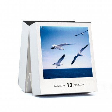 Photodarium 2027
Polaroid-Tischkalender