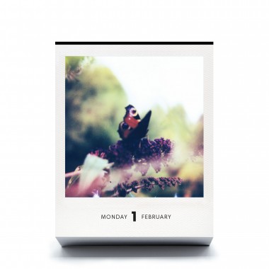 Photodarium 2027
Polaroid-Tischkalender