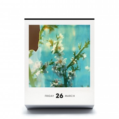 Photodarium 2027
Polaroid-Tischkalender