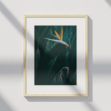Amy & Kurt Berlin A4 Artprint "Bird of paradise"