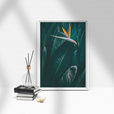 Amy & Kurt Berlin A4 Artprint "Bird of paradise"