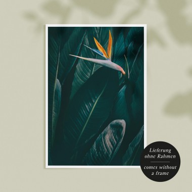 Amy & Kurt Berlin A4 Artprint "Bird of paradise"