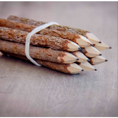 Bleistifte, handgemacht aus Zweigen, 10er-Set BY COPALA
