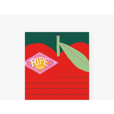 Notizblock "schmal", 3er Set / Ripe Plans