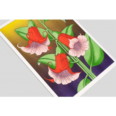 The Naughty District - handgefertigter Risographie Print »Brugmansia«