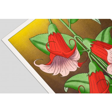 The Naughty District - handgefertigter Risographie Print »Brugmansia«