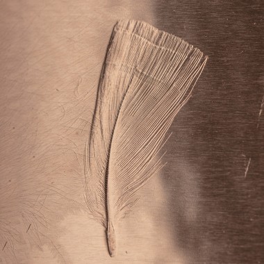 Federbild auf Kupfer, 21x30cm von Christina Pauls