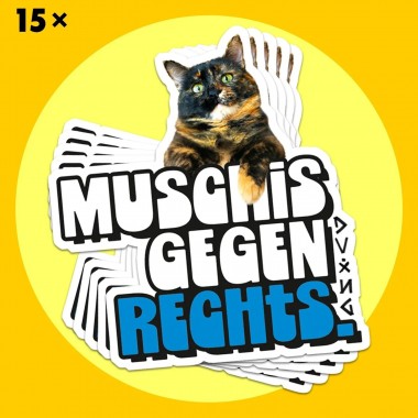 StickerBundle M*SCHIS GEGEN RECHTS vinyl