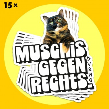 StickerBundle M*SCHIS GEGEN RECHTS vinyl