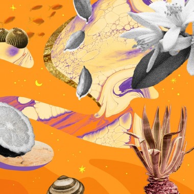 Liquid Picnic by EUKIDIEN Body Oil · JANT JUBILEE · 100ml ·


"WARNING: May cause spontaneous dancing."