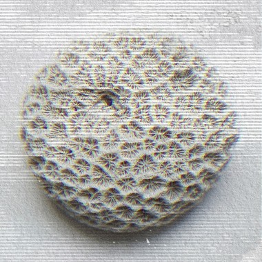 Liquid Picnic by EUKIDIEN Body Oil · JANT JUBILEE · 100ml ·


"WARNING: May cause spontaneous dancing."