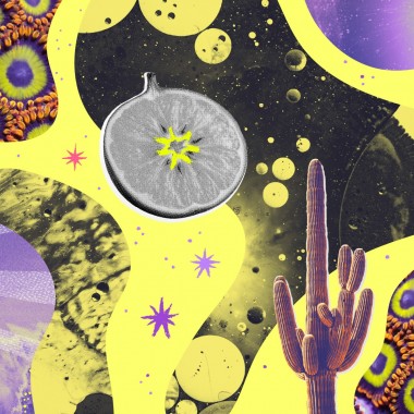 EUKIDIEN · THE LIQUID PICNIC CIRCLE OF CARE ·
"Three moods. One flow. Your skin, your senses, your story."