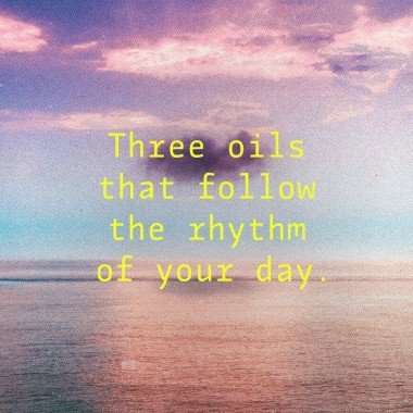 EUKIDIEN · THE LIQUID PICNIC CIRCLE OF CARE ·
"Three moods. One flow. Your skin, your senses, your story."