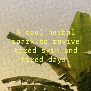 Liquid Picnic by EUKIDIEN
Body Oil · FOREST AFFAIR · 100ml  · 

"Nature’s got a crush on you."