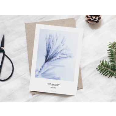 typealive / Weihnachtskarten 4er Set / Frozen Plants