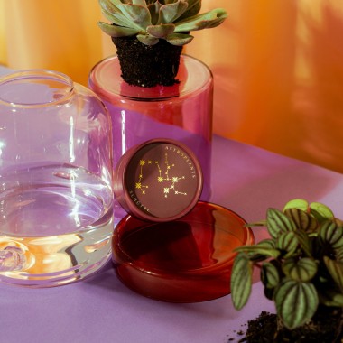 Astroplants - Schütze - Pflanzensamen