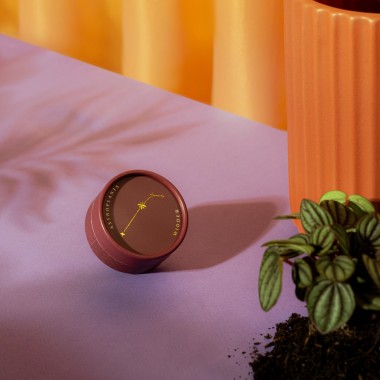 Astroplants - Widder - Pflanzensamen