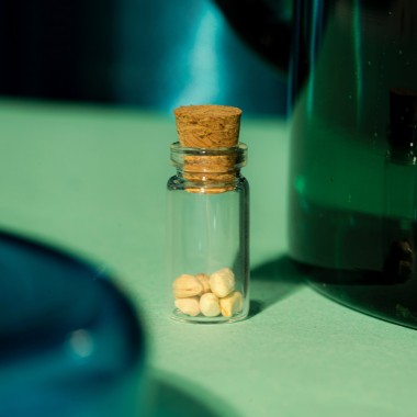 Astroplants - Krebs - Pflanzensamen