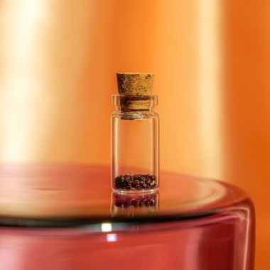 Astroplants - Schütze - Pflanzensamen