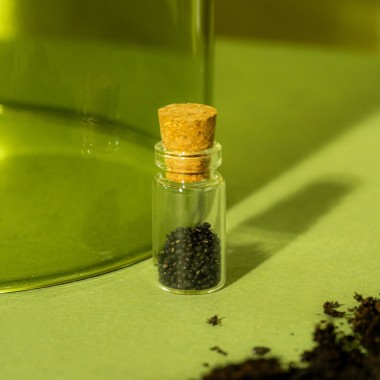 Astroplants - Steinbock - Pflanzensamen