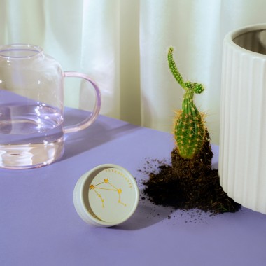 Astroplants - Waage - Pflanzensamen