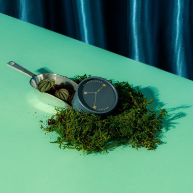 Astroplants - Krebs - Pflanzensamen