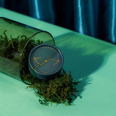 Astroplants - Skorpion - Pflanzensamen