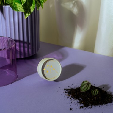 Astroplants - Wassermann - Pflanzensamen