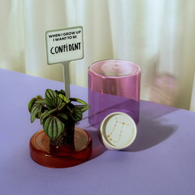 Astroplants - Zwillinge - Pflanzensamen