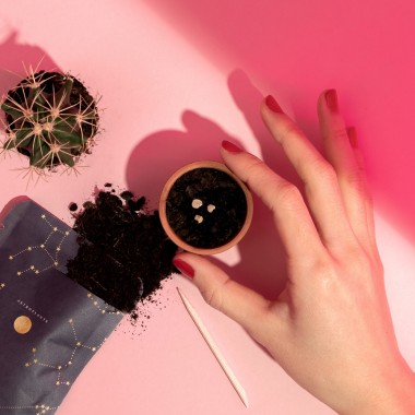 Astroplants - Geschenkbox - Love Edition