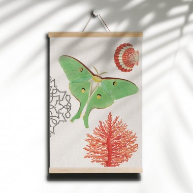 Hey Urban Monkey - 
A4 Poster - 
„Luna Moth - Coral“