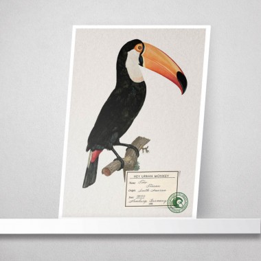 Hey Urban Monkey - 
A4 Poster - 
„Toco Toucan“
