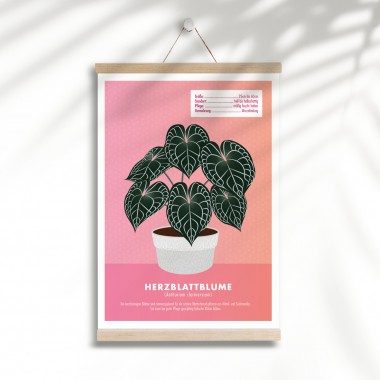 Hey Urban Monkey - A4 Poster - „Herzblattblume“