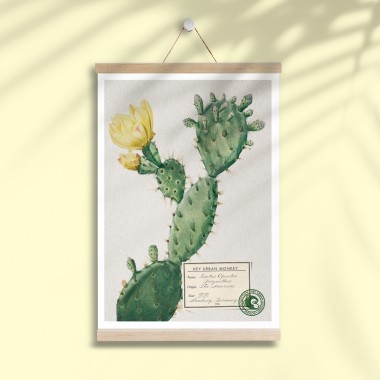 Hey Urban Monkey - A4 Poster - „Cactus Opuntia Polyanthos“