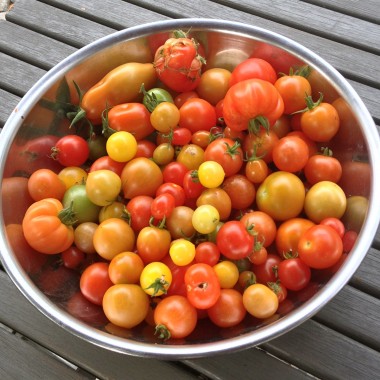 Gabys Grüner Garten traumhafte TomatenMarmelade (250g)