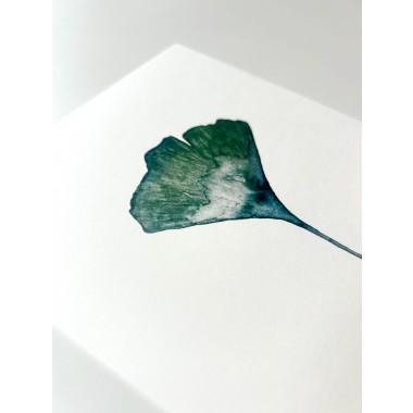 Ginkgo Poster A5 - SANS