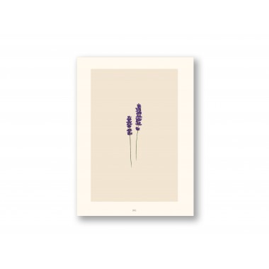 Poster A4 - Lavendel - SANS.